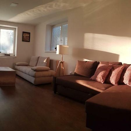 Vip Apartmany Zabnik بريفيدزا المظهر الخارجي الصورة